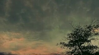 waifu di upgrade 🗿🗿🗿