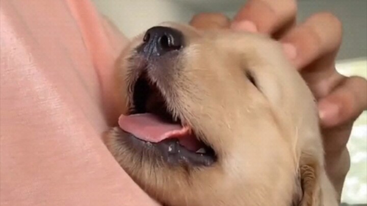 Baby, you’re a soft and fluffy little bread roll～