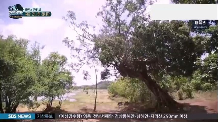 E335 Law of The Jungle -  Sri Langka