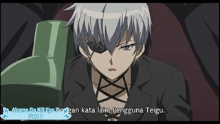 Alur Cerita Akame Ga Kill Eps 7