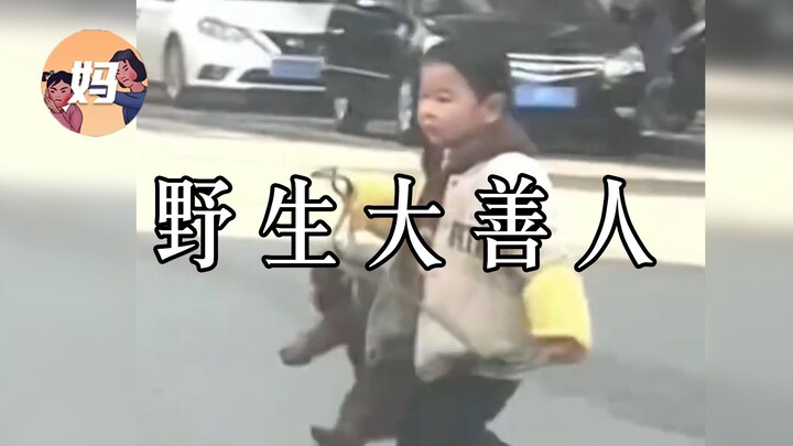 [Pengamatan Patung Pasir Liar] Selalu ada sekelompok "orang baik" liar yang hidup di sekitar manusia