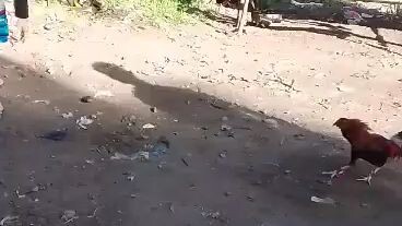💪