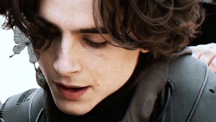 [DUNEx Tiancha] ลูกชายของ Dune·Top Alpha // เขาเชี่ยวชาญในการสลับไปมาระหว่างโอเมก้าและอัลฟ่า