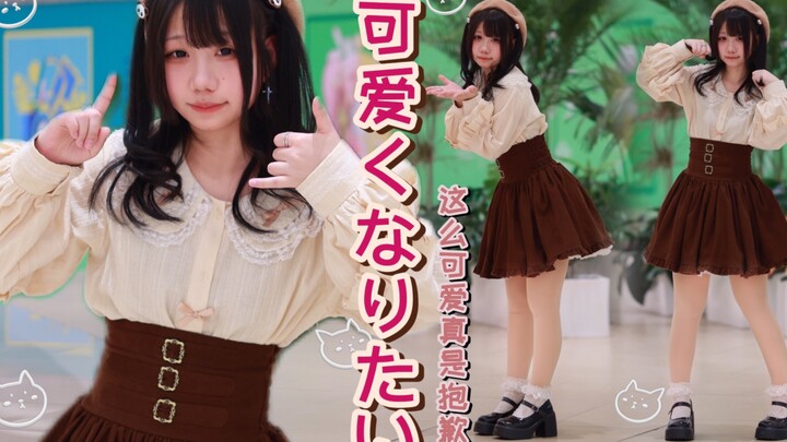 【猫姬】可愛くてごめん/这么可爱真是抱歉!迟到的生日作～