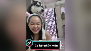 Chắc t kí đầu m quá cđ Bông 🥲 husky funny rumrau yeuchomeo thucung pet xuhuong haihuoc vui alaska vacaiket ONhaVanVui j4f viral xh