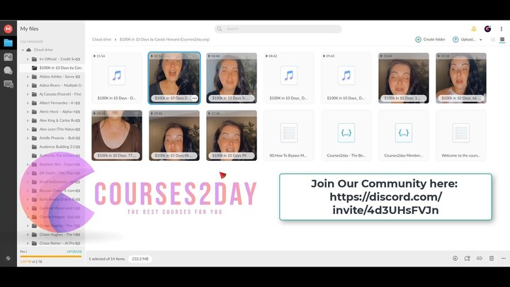 $100K in 10 Days by Cassie Howard (Courses2day.org)