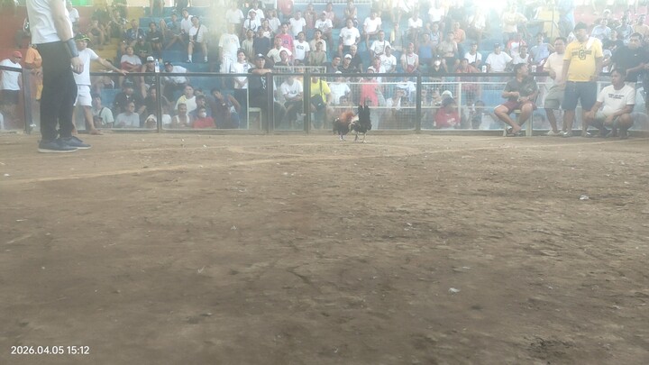 April 5 hackfight win. limay mega cockpit arena.