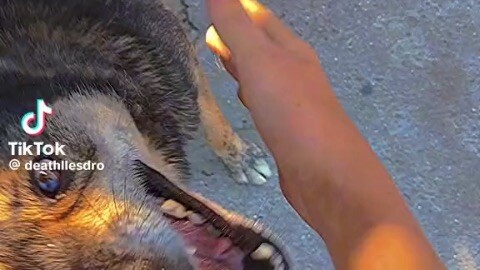 K chọc nhưng lại bị như thế có ai từng bị thế k ?