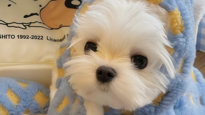 Overly theatrical expressions, a bit exaggerated.