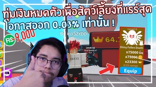 Roblox : Saber Simulator ใช้ 9,000 Robux เพื่อเปิดไข่จะได้ตัวโหดแค่ไหน ?EP.12