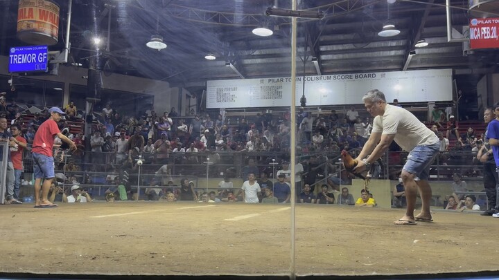 1st fight win pilar coliseum 12-20-25