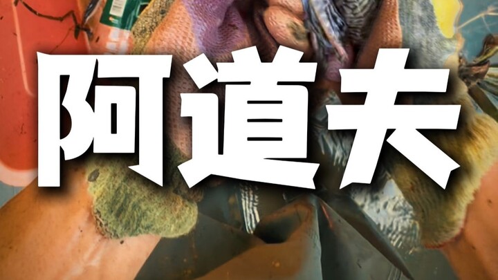 انخفض منسوب المياه بعد الإعصار، واختفت مصر، وعاد الزبالون مرة أخرى