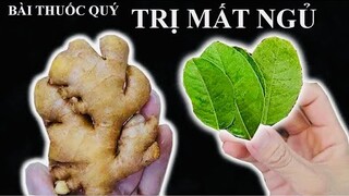 Bài thuốc quý TRỊ SUY NHƯỢC CƠ THỂ - NHỨC ĐẦU - MẤT NGỦ - TRÀ GỪNG