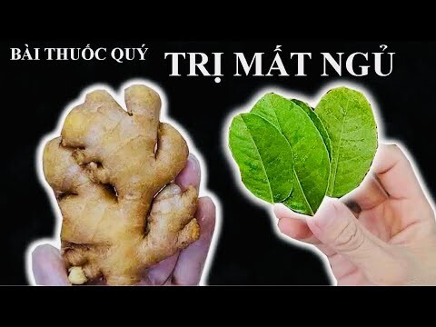 Bài thuốc quý TRỊ SUY NHƯỢC CƠ THỂ - NHỨC ĐẦU - MẤT NGỦ - TRÀ GỪNG