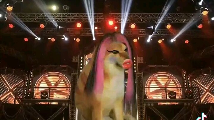 huỳnh đạt vs trần my