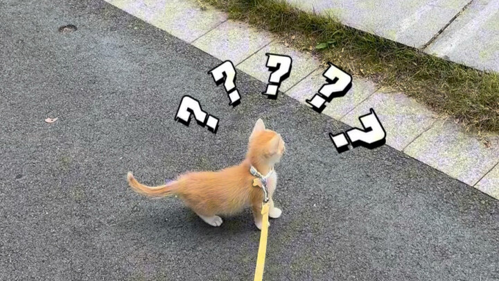 Sinh thường mà nhanh gọn gì đâu!