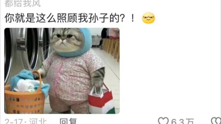 นี่คือแมวน้อยเรียกทรัพย์ อย่าเมินเฉยต่อเขาเลยนะคะ ขอบคุณเจ้าเหมียว