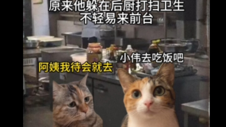 年少的光，不应掩于自卑之下