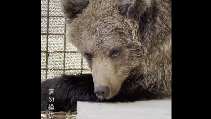 来了个比让我单身两年更狠的...这是要让我嫁不出去啊！