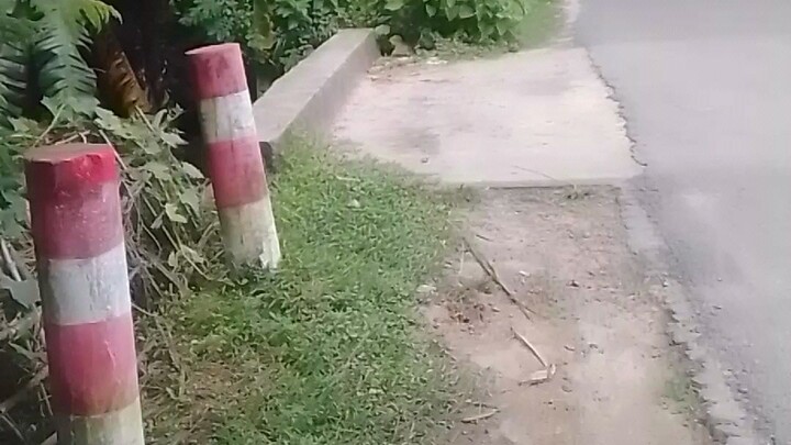 আমার গ্রাম