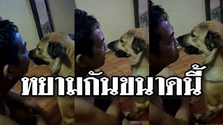 @Awesome Videos ยอมใจเอ็งจริงๆ มีความอดทนสูงมาก โดนหยามขนาดนี้ยังเฉยอยู่ได้