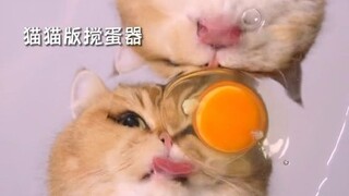 是猫咪打蛋器耶~