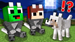 Mikey & JJ BITTEN By A BABY WEREWOLF in Minecraft! (Maizen Mazien Mizen)