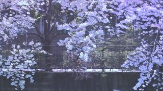 Mari kita lihat romansa Jepang Shunji Iwai
