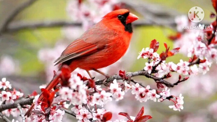 Binibining Marikit❤️