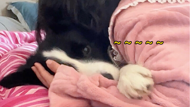 Only dog lovers understand—this sound is so soothing!
