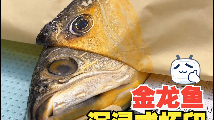 Video giải tỏa căng thẳng: Trải nghiệm in ấn nhập vai với Rồng Vàng.