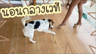 โลกของแสนดี ตอน เล่นขวางเวที