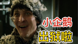 【哥谭】小企鹅出狱后拜访“老朋友们”，到处被嫌弃，却在墓地无意中遇到了至亲！