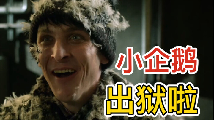 【哥谭】小企鹅出狱后拜访“老朋友们”，到处被嫌弃，却在墓地无意中遇到了至亲！