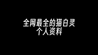 全网最全的猫白灵个人资料！