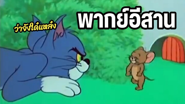 ทอมแอนด์เจอร์รี่ ดักตบบักหนู พากย์อีสาน
