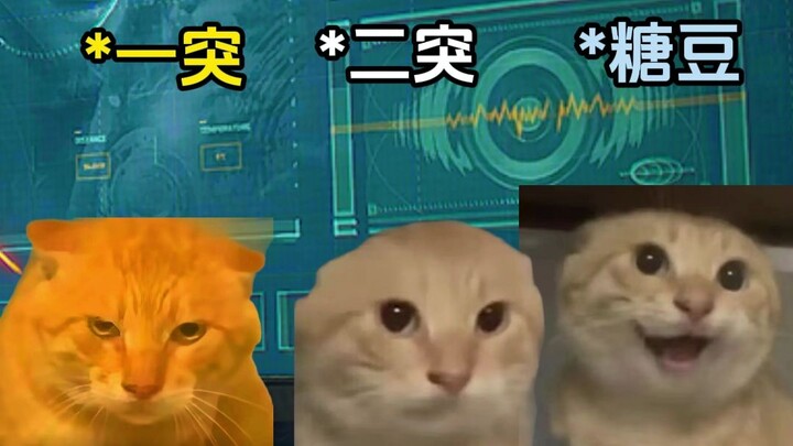Đồng đội của ai?