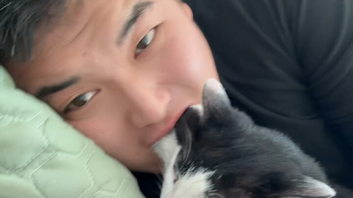 猫发腮了是用来干什么的！