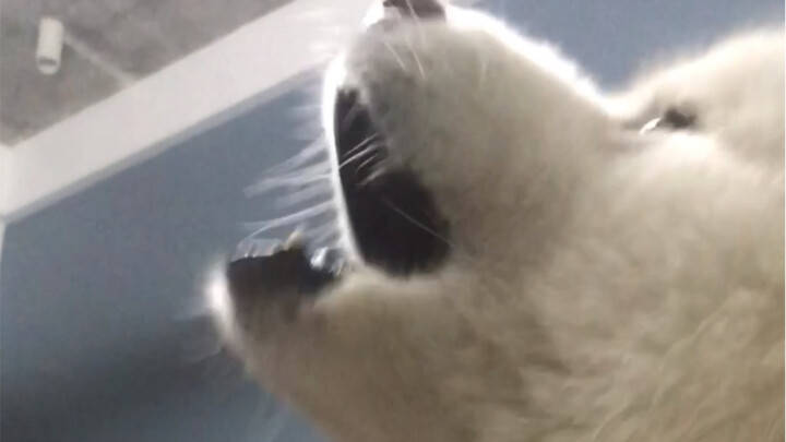 So bored—I’ve got nothing better to do, so I’m just gonna belt out a few songs for you!