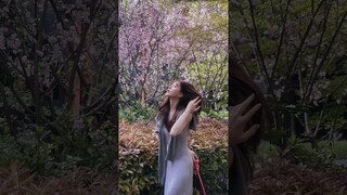 #zhaolusi Update 240401