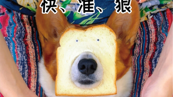 Medication mantra: Quick, accurate, and decisive!!!