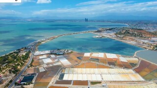 DU LỊCH NINH THUẬN _ Khám phá Cung Đường Ven Biển DT702 đến Vịnh Vĩnh Hy 33
