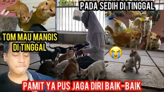 Kami Pamit Kucing-Kucing Cacat  Pada Sedih Saat Mau Di Tinggal Pulang Kampung..!