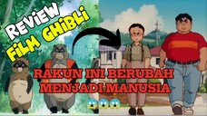 Mustahil⁉️Para Rakun ini Bisa Berubah Menjadi Manusia‼️