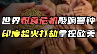 Apakah krisis pangan global merupakan peringatan? India memanfaatkan situasi ini untuk memanipulasi 