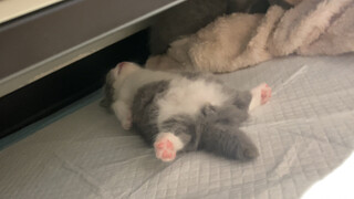 I slept so well~