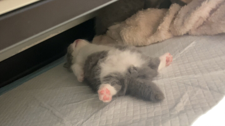 I slept so well~