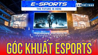 LÁT CẮT ESPORTS | THỂ THAO ĐIỆN TỬ CÓ PHẢI TOÀN MÀU HỒNG?