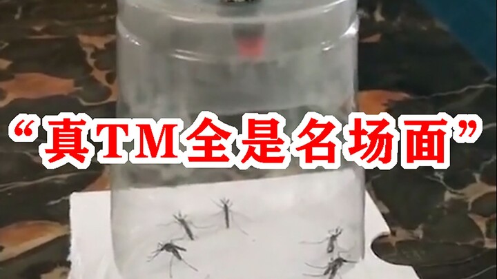 “真TM全是名场面啊！”
