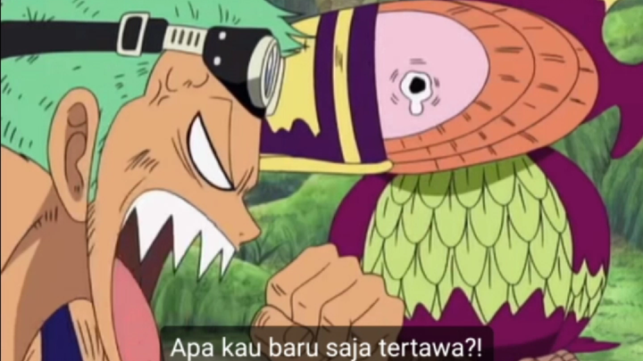 South Bird ketawa mewakili semua yhohoho